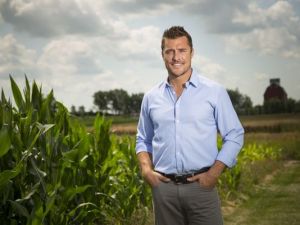 Chris Soules cornfield